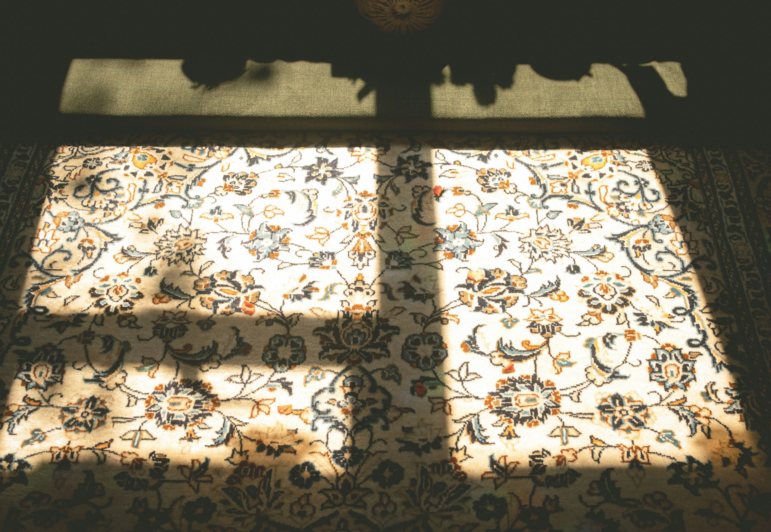 elly m yiuoqghyb w unsplash